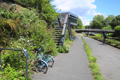 904488 Gezicht op het fietspad door het Griftpark te Utrecht, met links de vegetatiemuur en op de achtergrond het ...